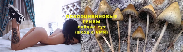 таблы Арсеньев